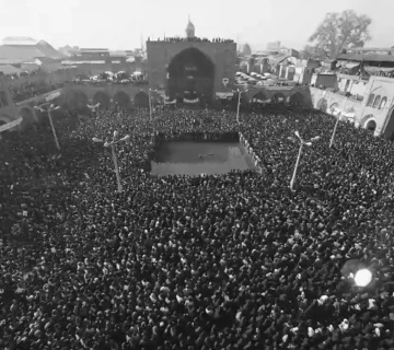 Intelright com 11 2 360x320